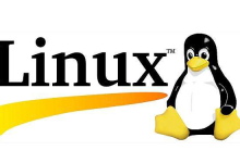 常用的服务器操作系统有哪些？Linux服务器操作系统的优势劣势有哪些？