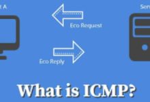 ICMP如何进行用户数据的传递？如何起作用？