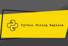 python replace具体应用示例