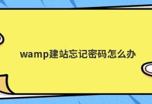 wamp如何设置默认密码(wamp用户名和密码)