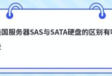 美国服务器SAS与SATA硬盘的区别有哪些